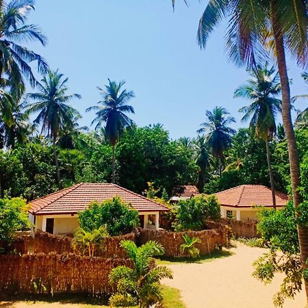 Sunset Safari & Resort Калпития Экстерьер фото