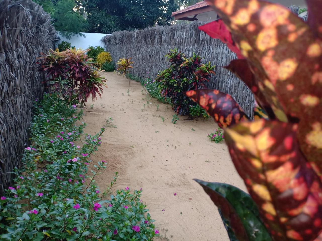 Sunset Safari & Resort Калпития Экстерьер фото