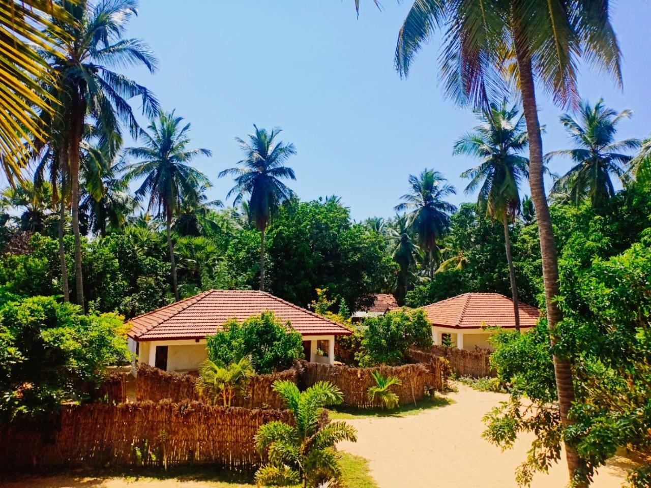 Sunset Safari & Resort Калпития Экстерьер фото